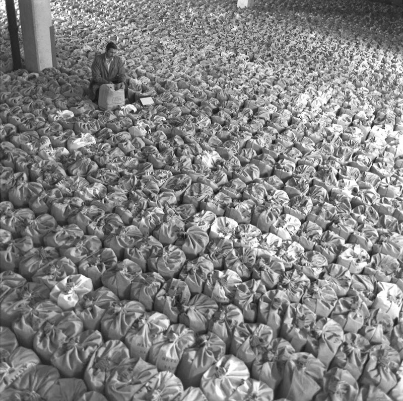Photo en noir et blanc d'un homme assis au milieu de centaines de sacs en toile placés en rangées.