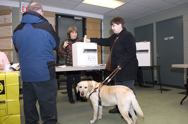 Photo d'une femme accompagnée d'un chien-guide, déposant son bulletin de vote dans une urne sous le regard d'une préposée au scrutin.