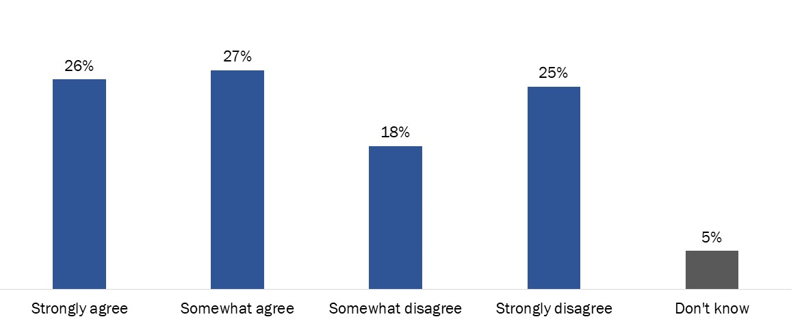 Figure 13: Views on whether voting over the Internet should be an option in federal elections