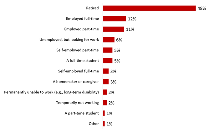 Figure 16: Employment Status