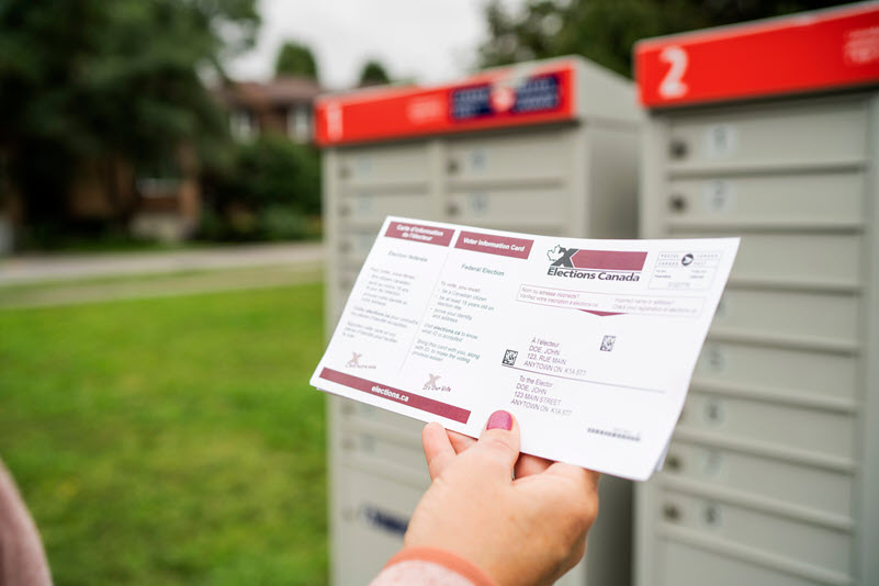 Carte d'information de l'électeur reçue par une électrice.